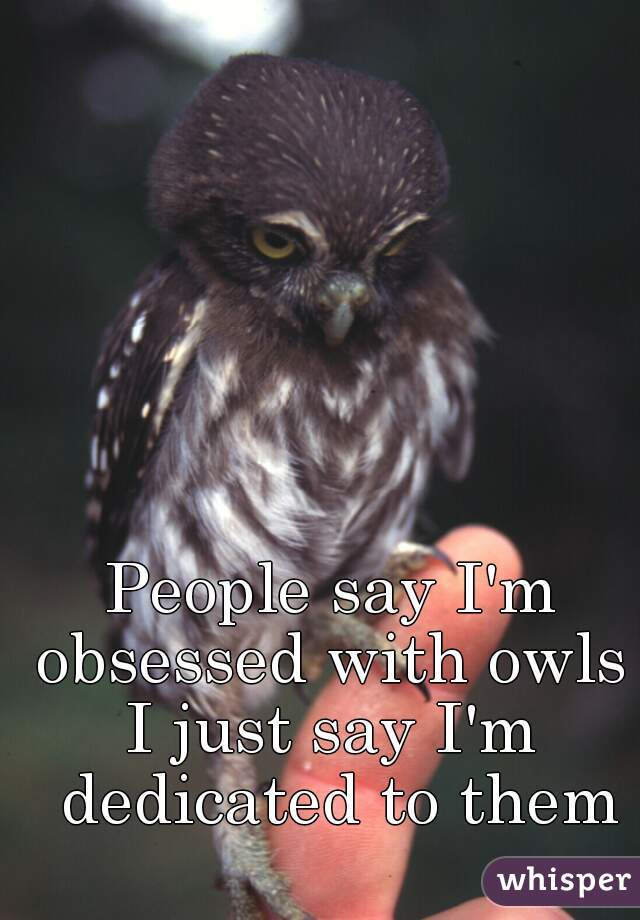 People say I'm obsessed with owls 
I just say I'm dedicated to them