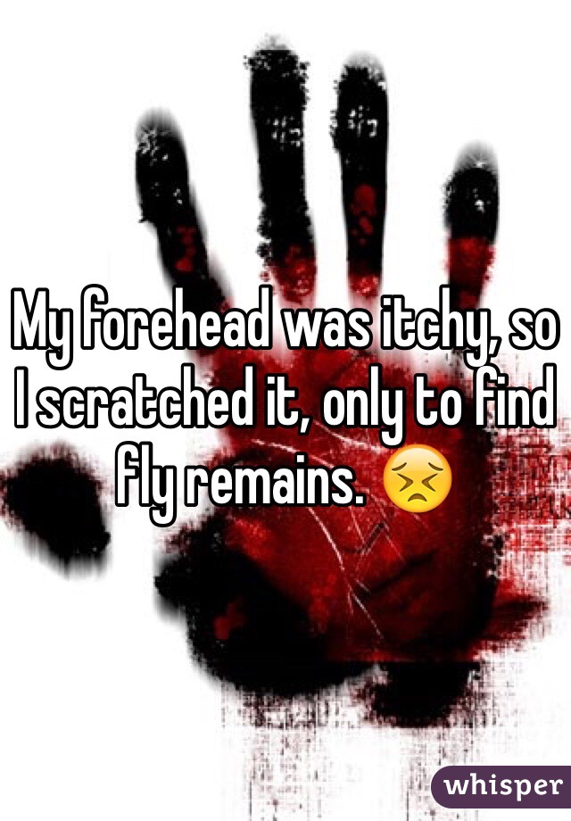 My forehead was itchy, so I scratched it, only to find fly remains. 😣