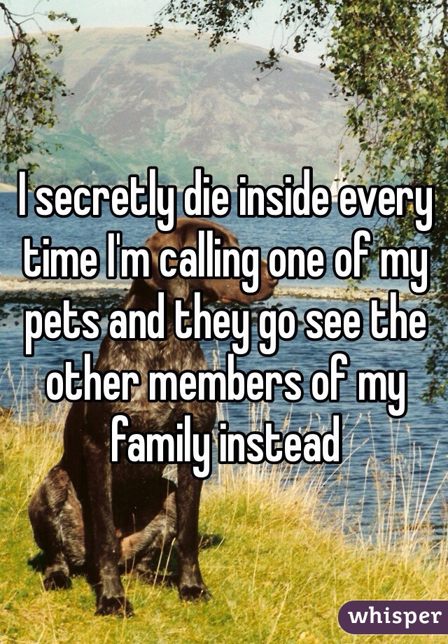 I secretly die inside every time I'm calling one of my pets and they go see the other members of my family instead