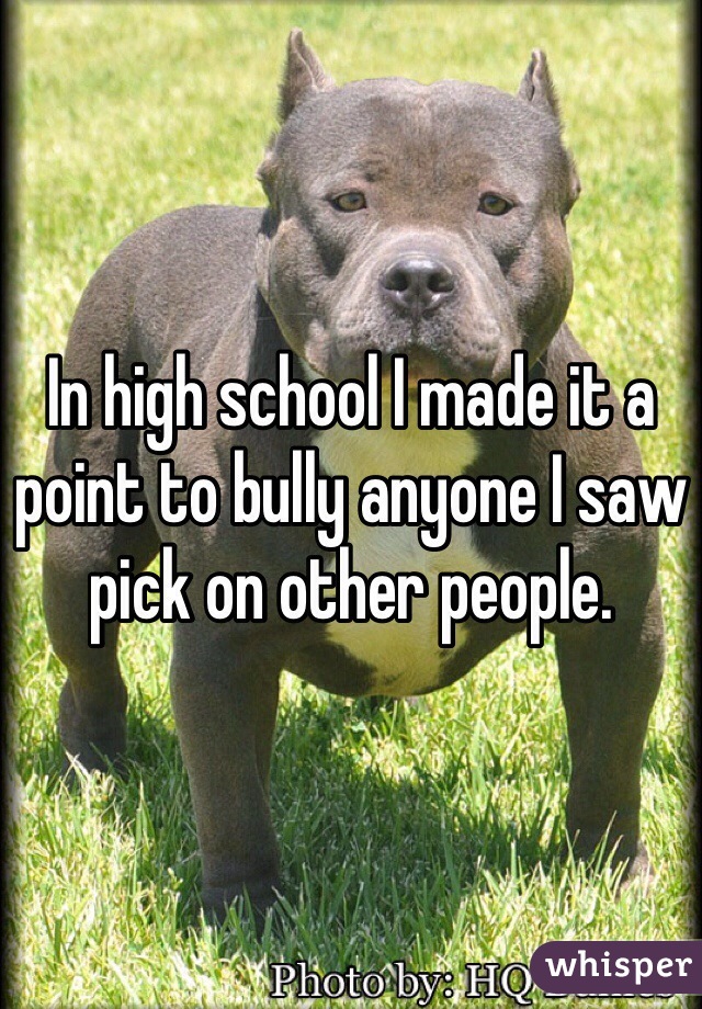In high school I made it a point to bully anyone I saw pick on other people. 