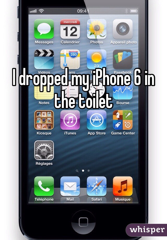 I dropped my iPhone 6 in the toilet 