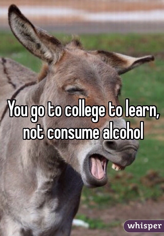 You go to college to learn, not consume alcohol 