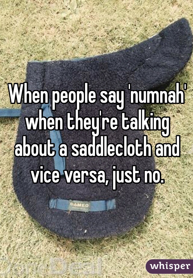 When people say 'numnah' when they're talking about a saddlecloth and vice versa, just no. 