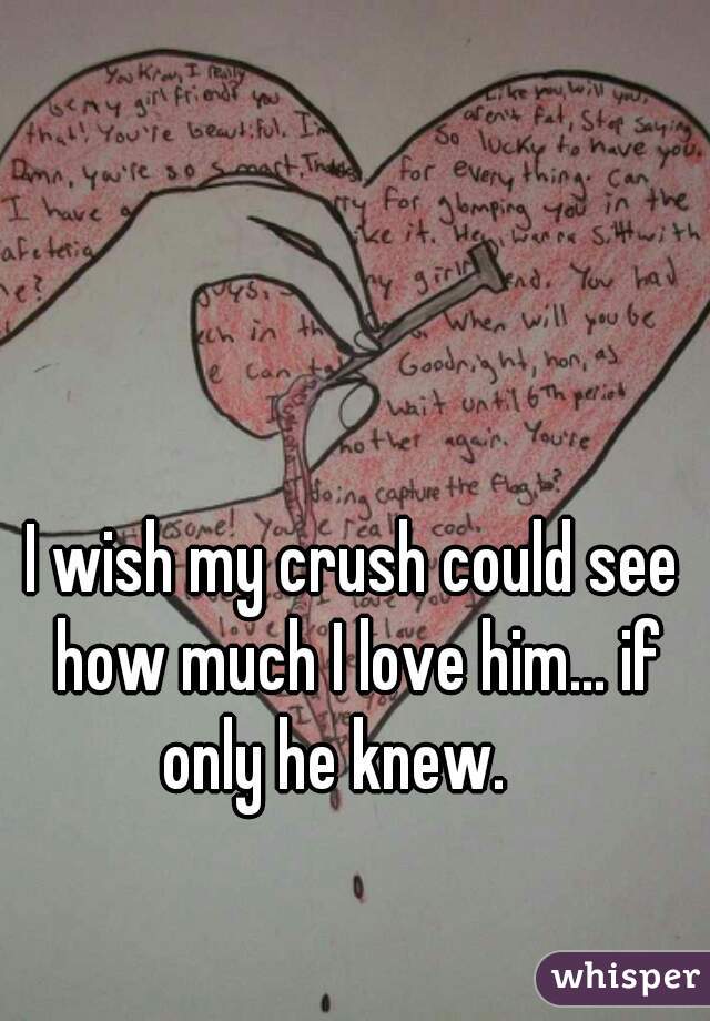 I wish my crush could see how much I love him... if only he knew. 😔
