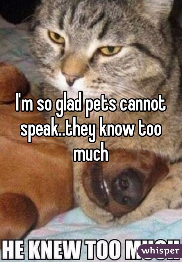 I'm so glad pets cannot speak..they know too much 