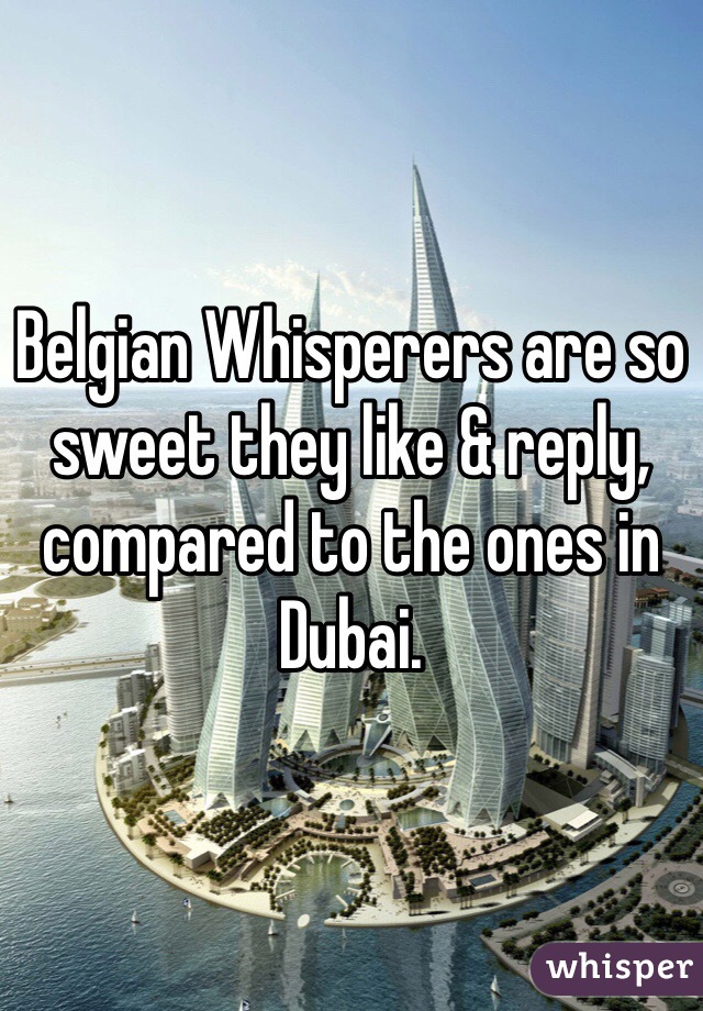 Belgian Whisperers are so sweet they like & reply, compared to the ones in Dubai.