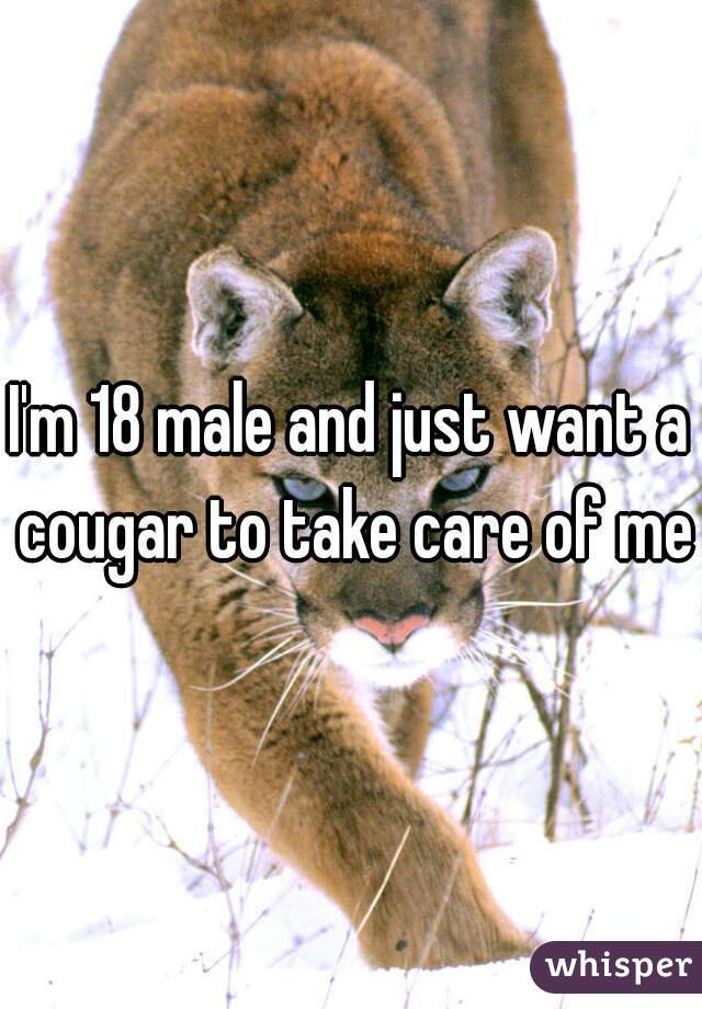 I'm 18 male and just want a cougar to take care of me