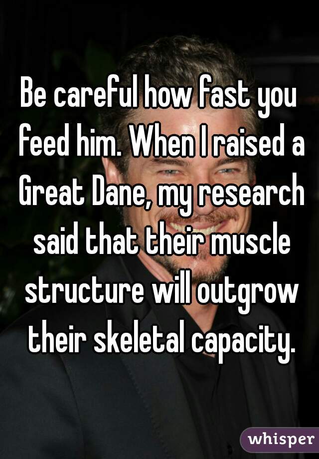 Be careful how fast you feed him. When I raised a Great Dane, my research said that their muscle structure will outgrow their skeletal capacity.