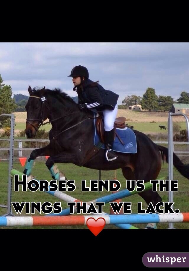Horses lend us the wings that we lack. ❤️