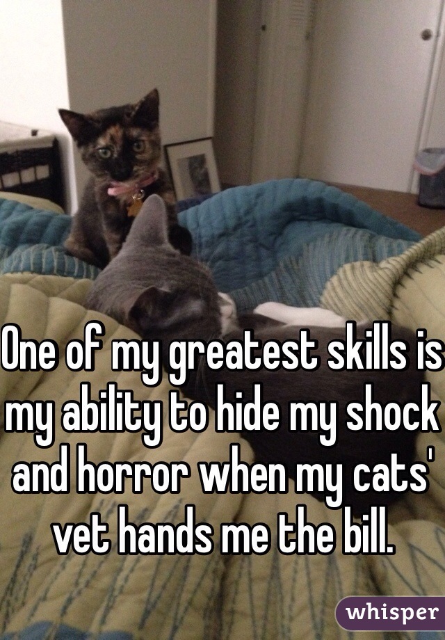 One of my greatest skills is my ability to hide my shock and horror when my cats' vet hands me the bill. 