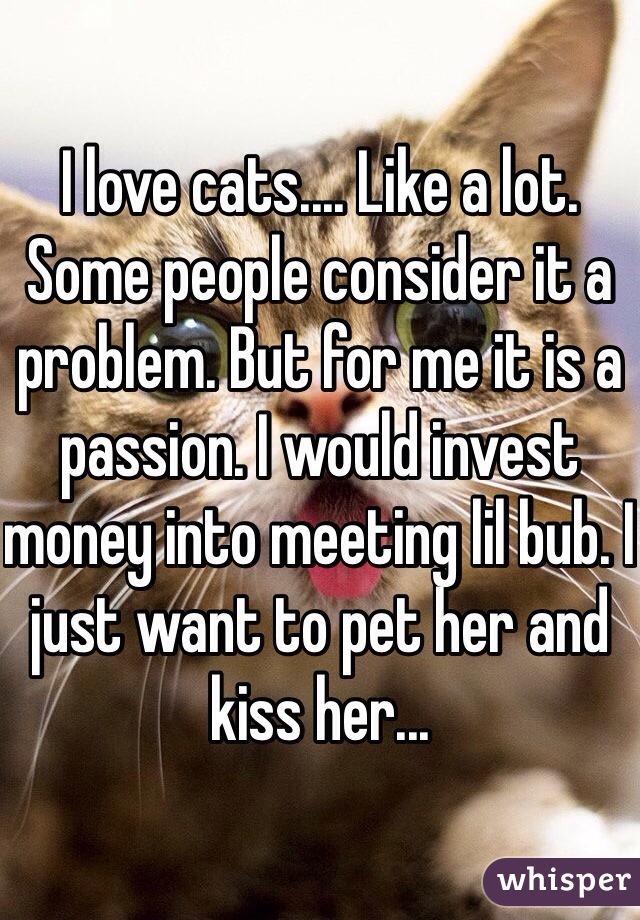I love cats.... Like a lot. Some people consider it a problem. But for me it is a passion. I would invest money into meeting lil bub. I just want to pet her and kiss her...