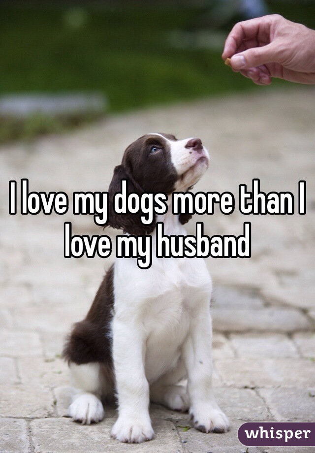 I love my dogs more than I love my husband 