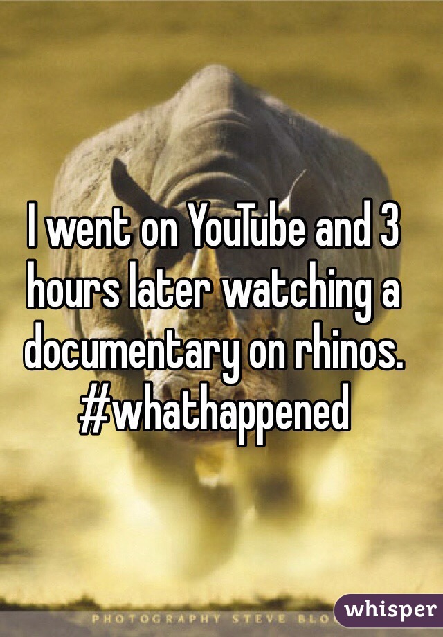 I went on YouTube and 3 hours later watching a documentary on rhinos.
#whathappened