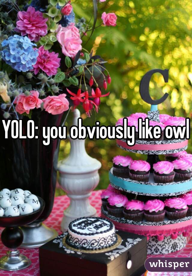 YOLO: you obviously like owls