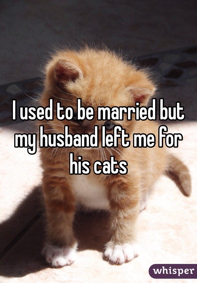 I used to be married but my husband left me for his cats 