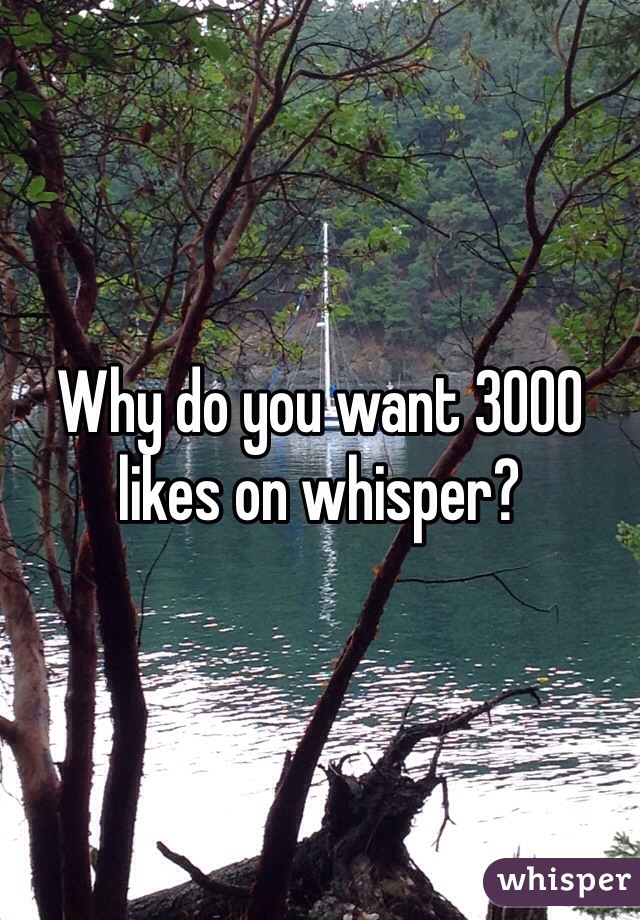 Why do you want 3000 likes on whisper?