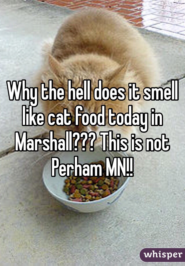 Why the hell does it smell like cat food today in Marshall??? This is not Perham MN!!