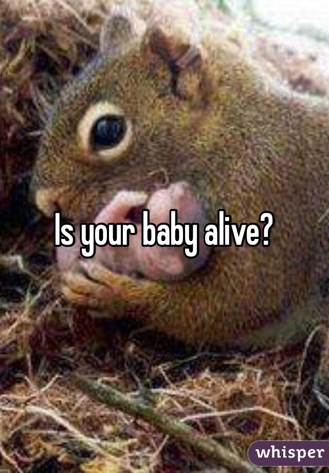 Is your baby alive? 