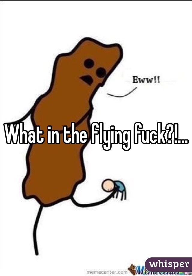 What in the flying fuck?!...