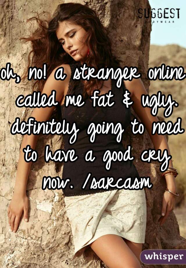oh, no! a stranger online called me fat & ugly. definitely going to need to have a good cry now. /sarcasm