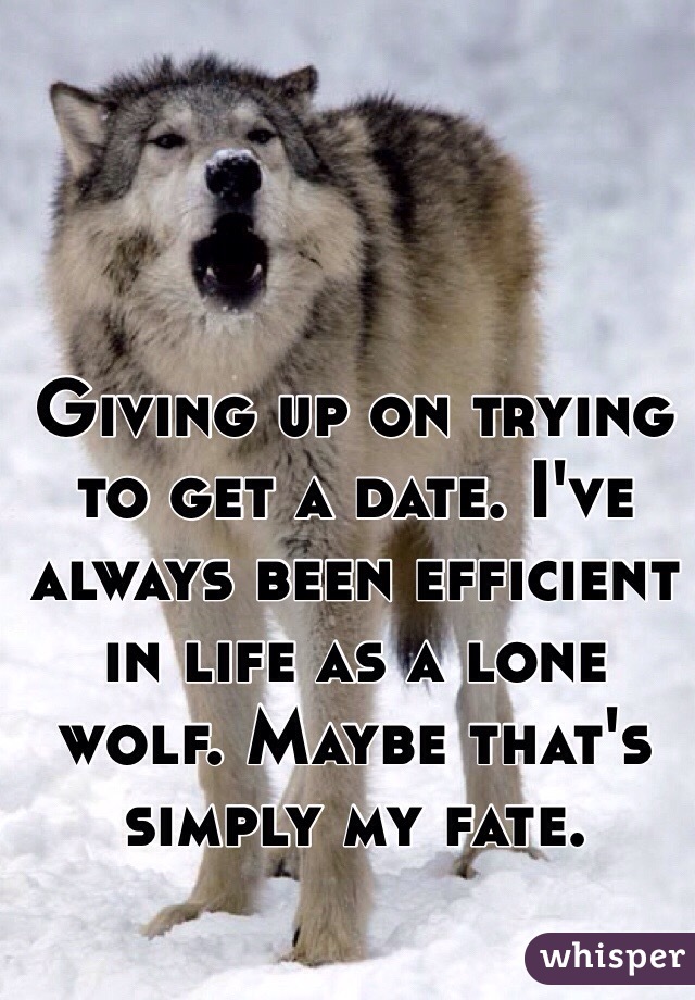 Giving up on trying to get a date. I've always been efficient in life as a lone wolf. Maybe that's simply my fate. 