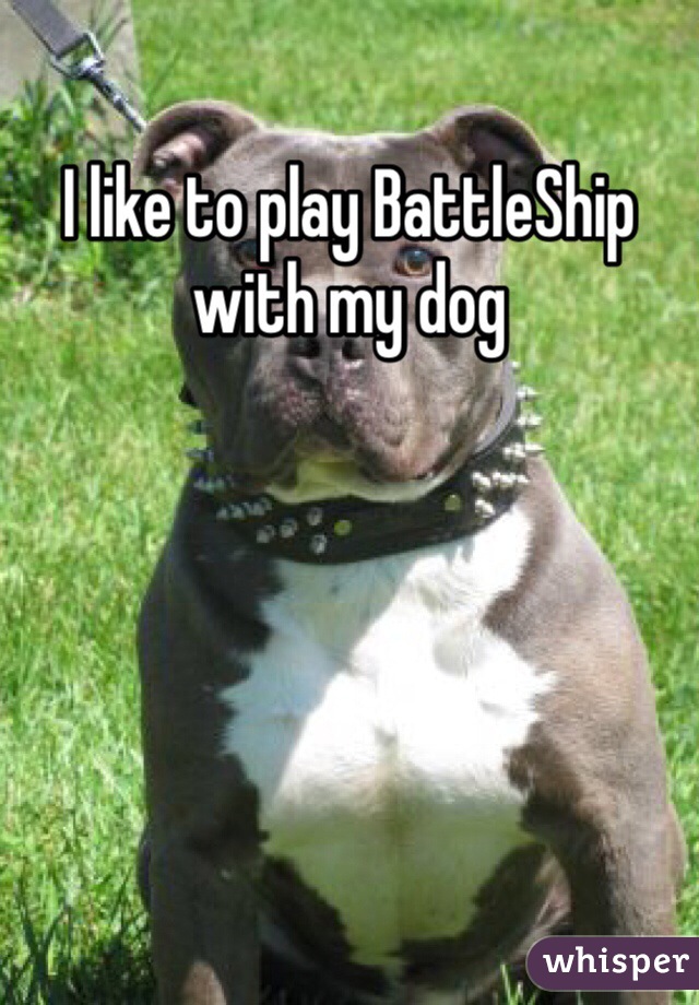 I like to play BattleShip with my dog
