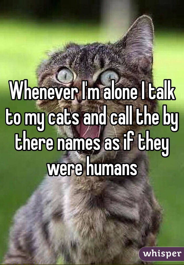 Whenever I'm alone I talk to my cats and call the by there names as if they were humans 