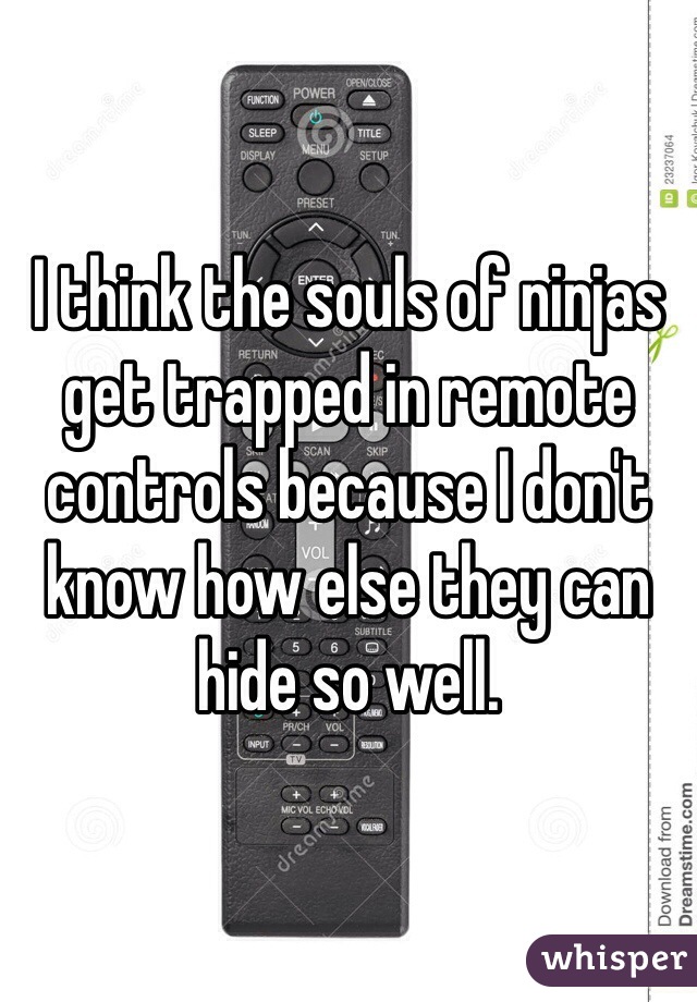 I think the souls of ninjas get trapped in remote controls because I don't know how else they can hide so well.