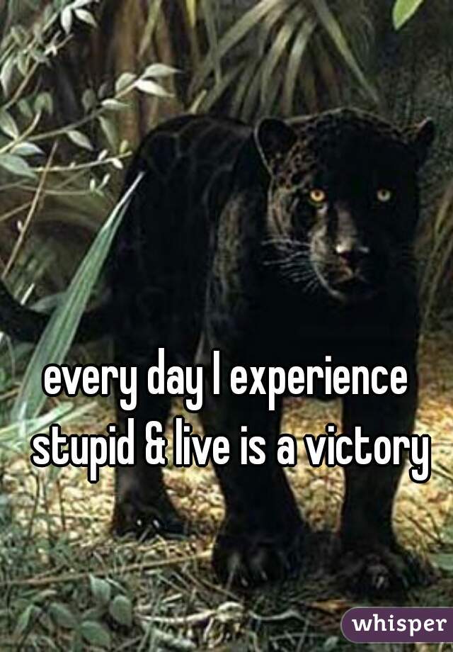 every day I experience stupid & live is a victory