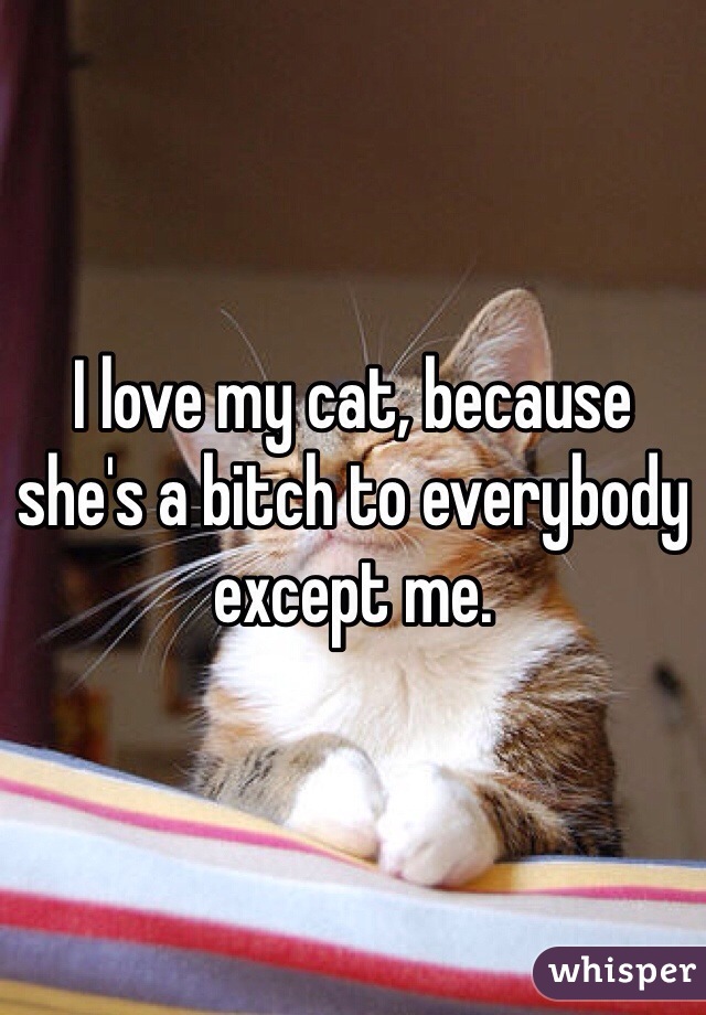 I love my cat, because she's a bitch to everybody except me. 
