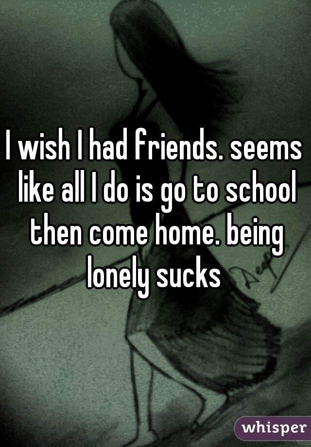 I wish I had friends. seems like all I do is go to school then come home. being lonely sucks 