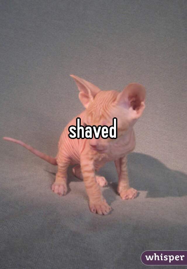 shaved