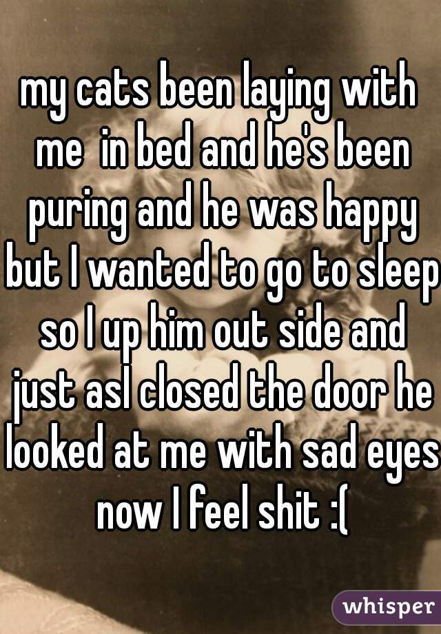 my cats been laying with me  in bed and he's been puring and he was happy but I wanted to go to sleep so I up him out side and just asI closed the door he looked at me with sad eyes now I feel shit :(