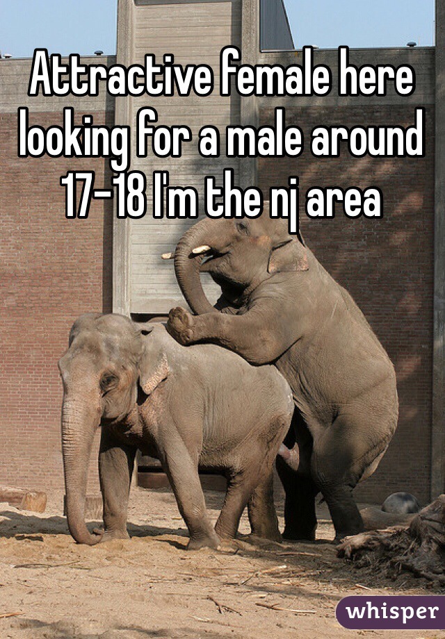 Attractive female here looking for a male around 17-18 I'm the nj area 