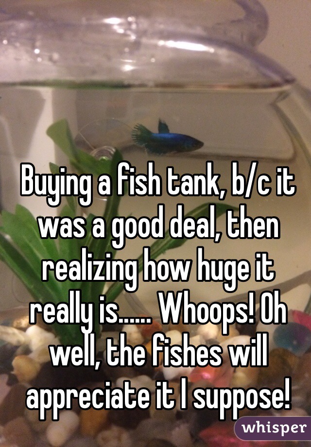 Buying a fish tank, b/c it was a good deal, then realizing how huge it really is...... Whoops! Oh well, the fishes will appreciate it I suppose! 