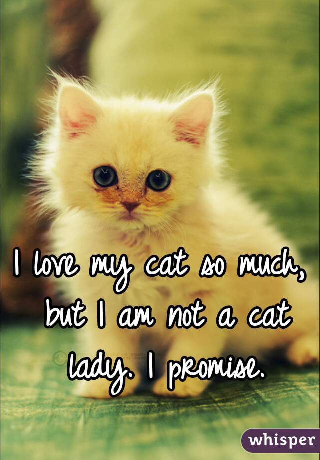 I love my cat so much, but I am not a cat lady. I promise.