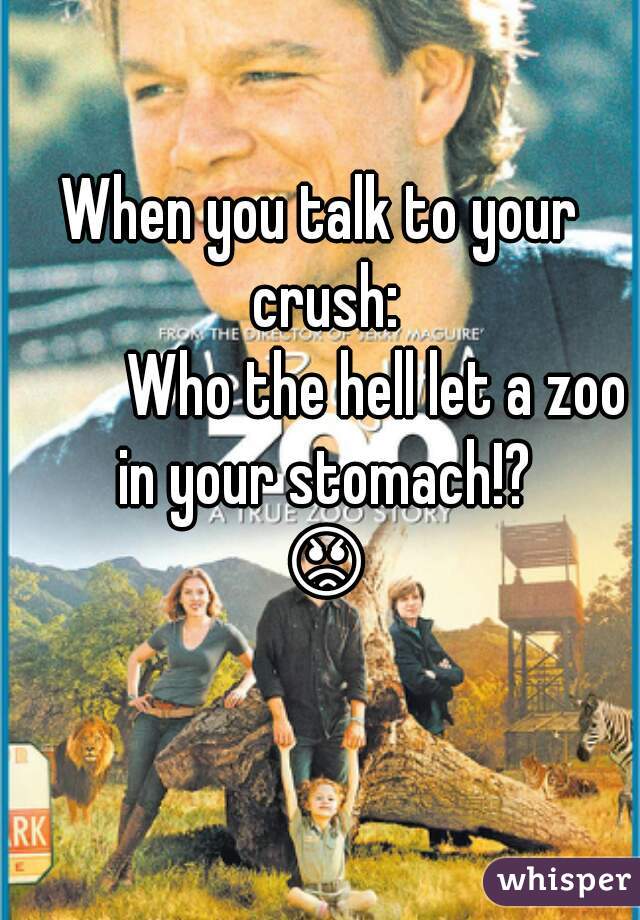 When you talk to your crush:
         Who the hell let a zoo in your stomach!? 😡😖