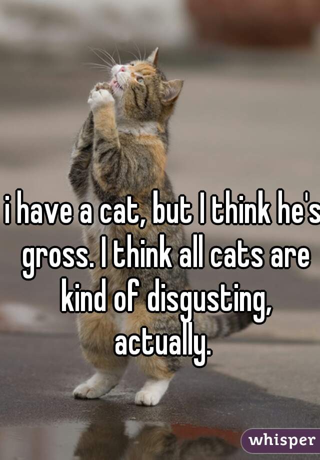 i have a cat, but I think he's gross. I think all cats are kind of disgusting, actually. 