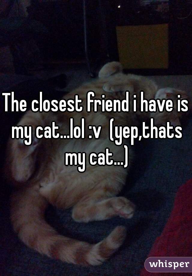 The closest friend i have is my cat...lol :v  (yep,thats my cat...)
