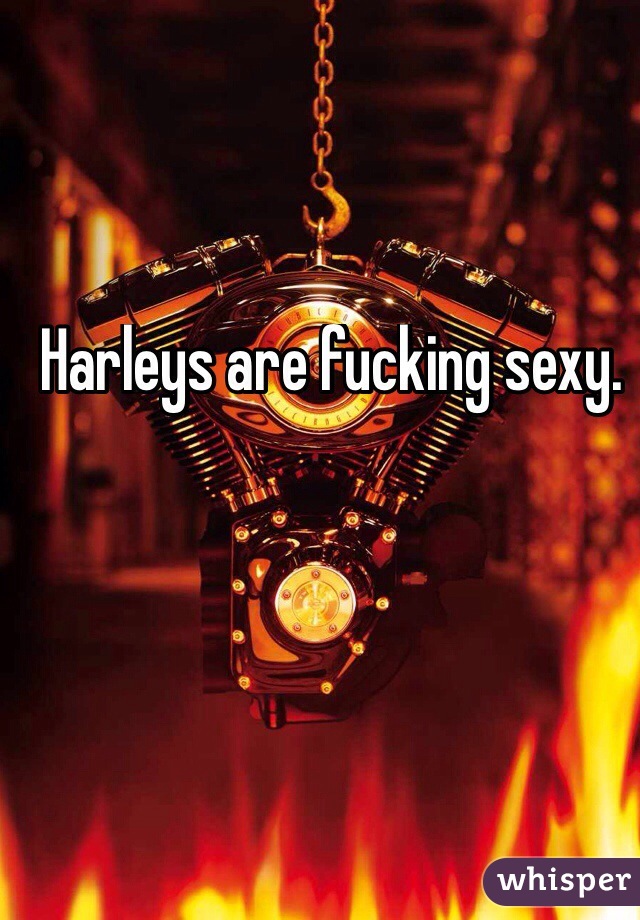 Harleys are fucking sexy. 
