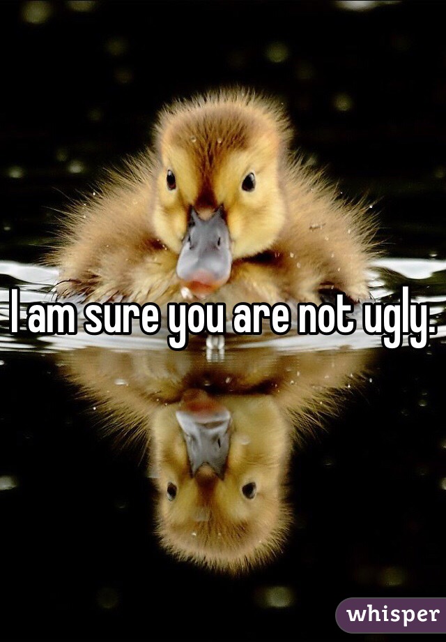 I am sure you are not ugly.