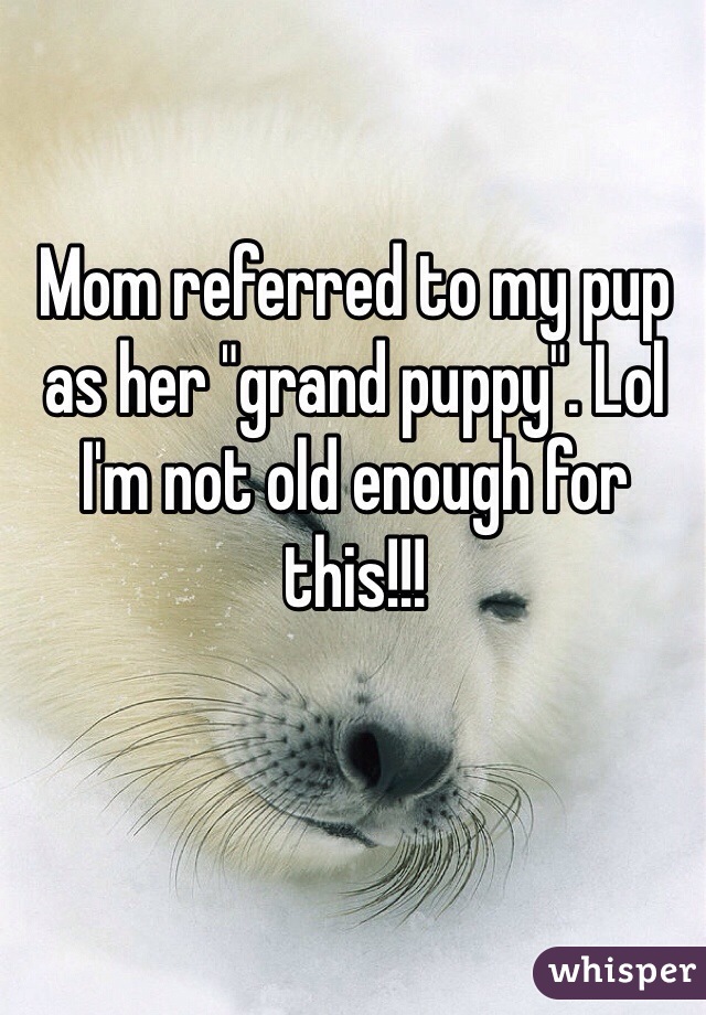 Mom referred to my pup as her "grand puppy". Lol I'm not old enough for this!!!
