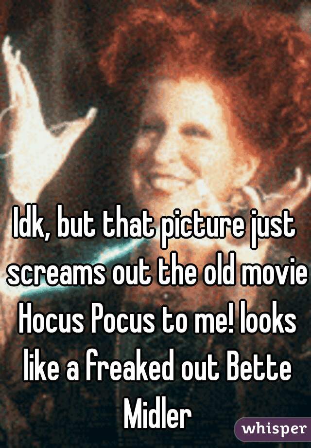 Idk, but that picture just screams out the old movie Hocus Pocus to me! looks like a freaked out Bette Midler