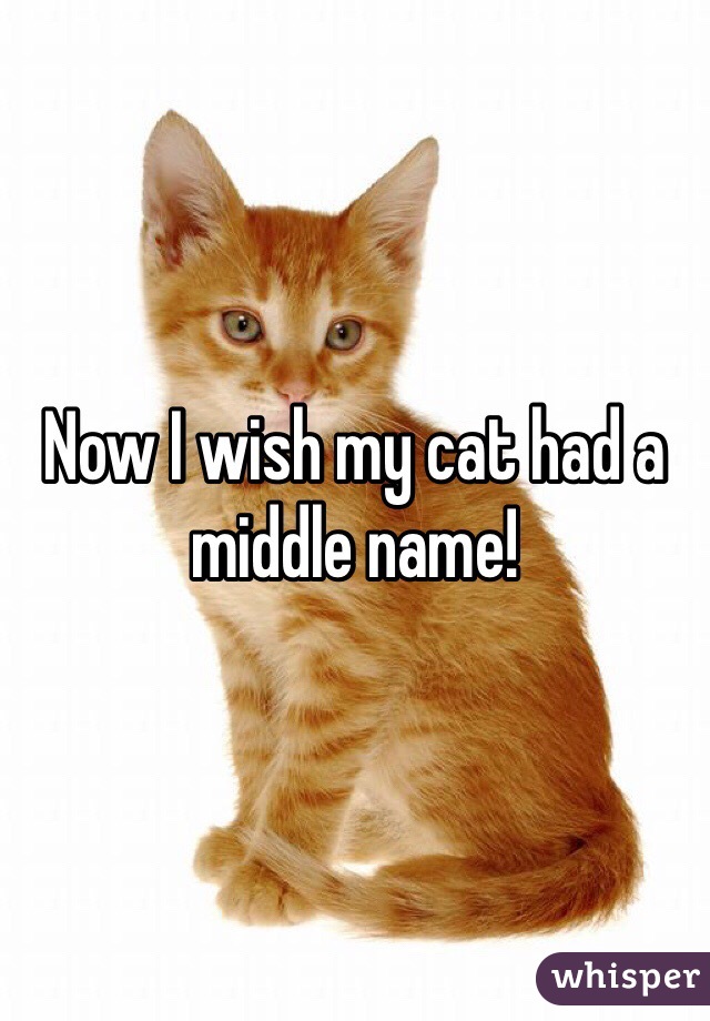 Now I wish my cat had a middle name!