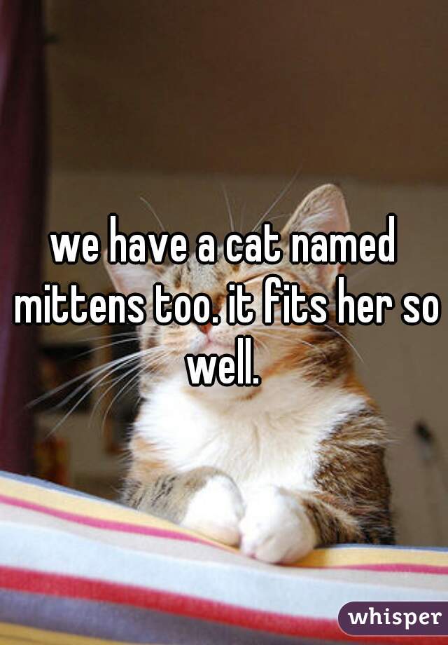 we have a cat named mittens too. it fits her so well. 