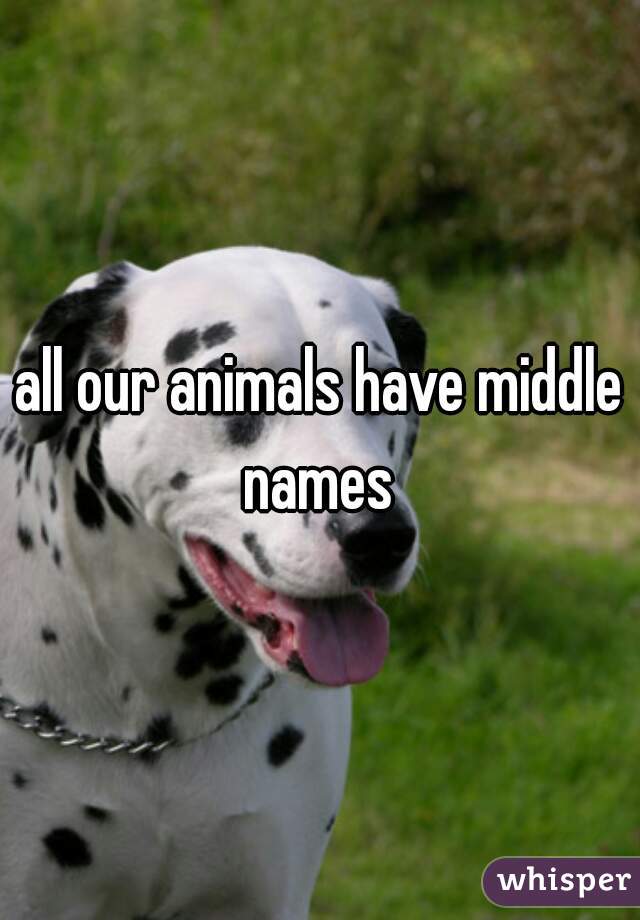 all our animals have middle names 