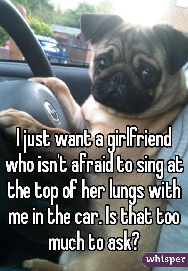 I just want a girlfriend who isn't afraid to sing at the top of her lungs with me in the car. Is that too much to ask?