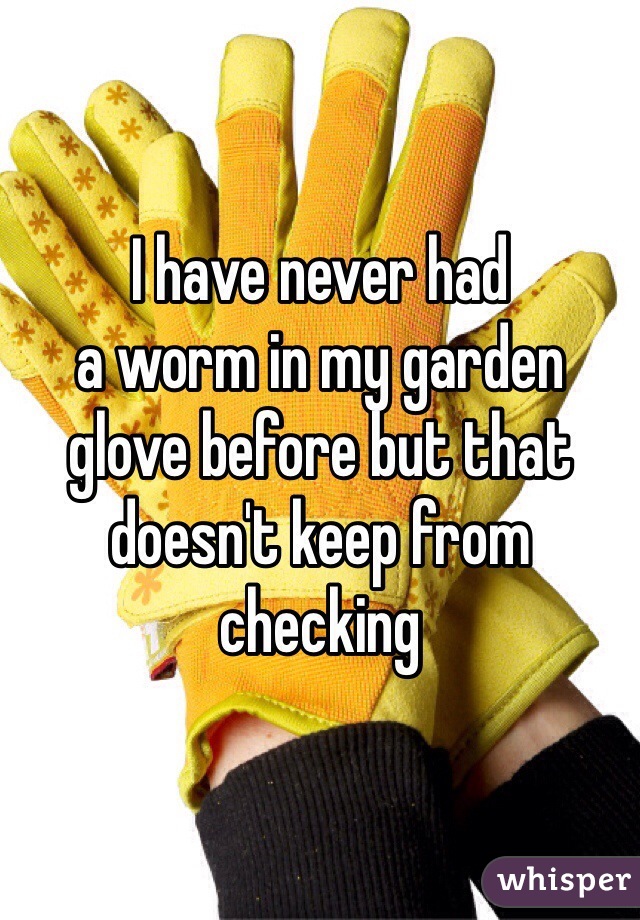I have never had
a worm in my garden
glove before but that 
doesn't keep from 
checking
