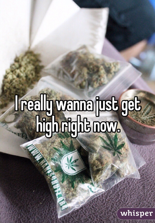 I really wanna just get high right now.