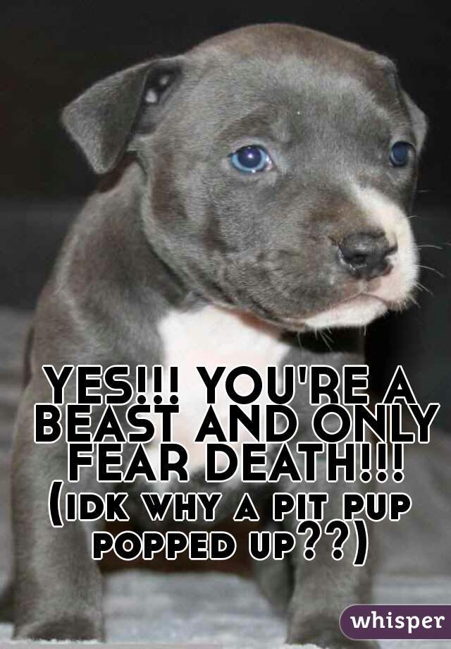 YES!!! YOU'RE A BEAST AND ONLY FEAR DEATH!!!
(idk why a pit pup popped up??) 